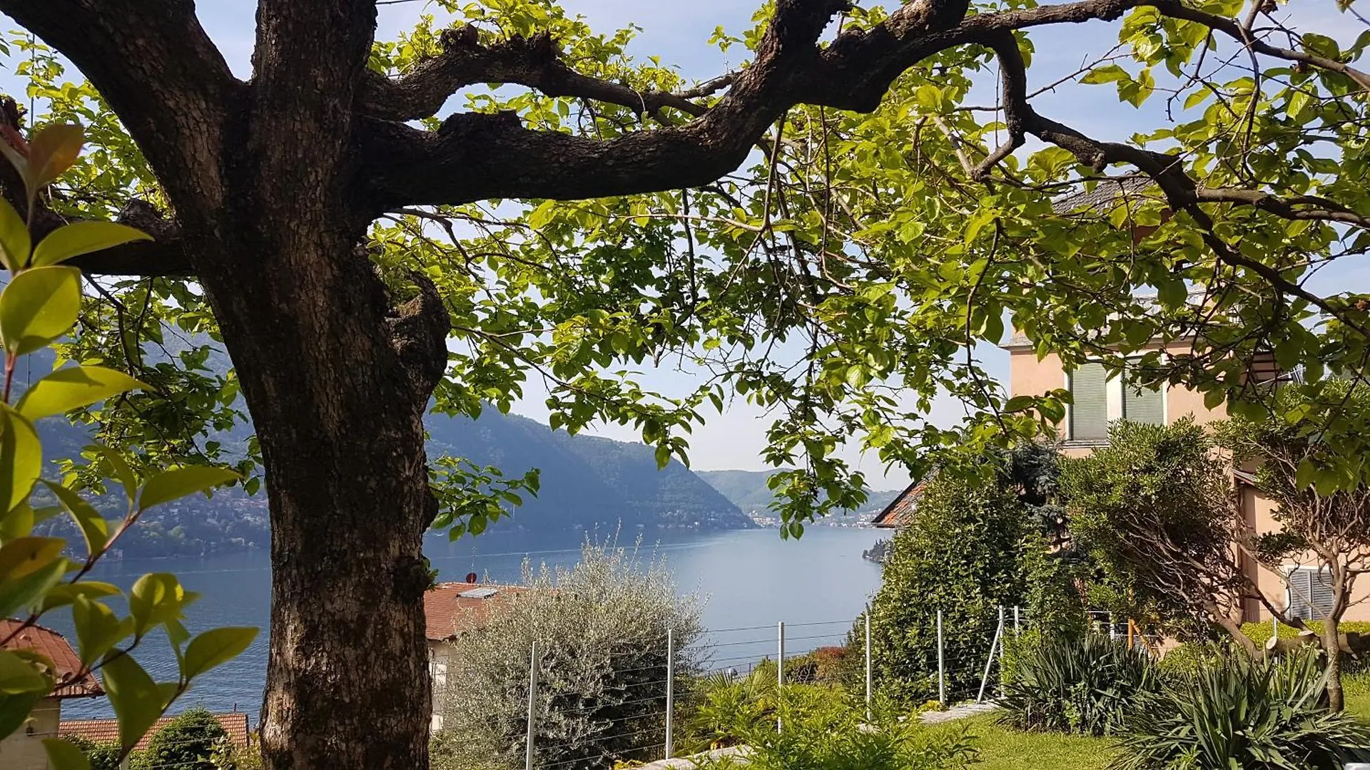 Appartement Flora à Moltrasio