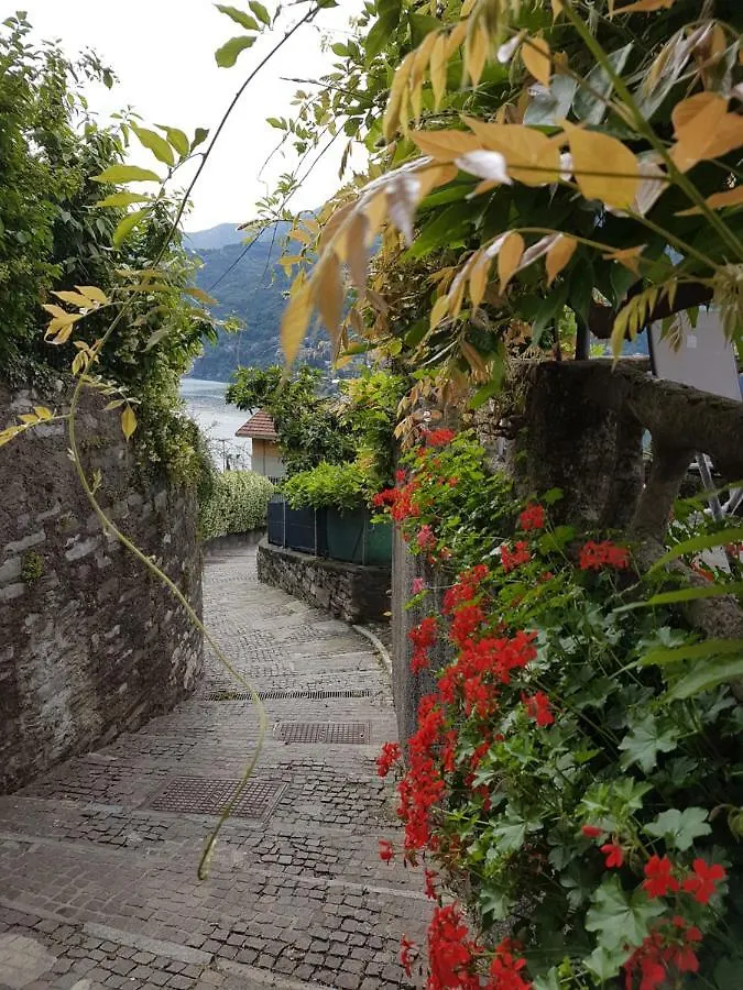 Flora Daire Moltrasio