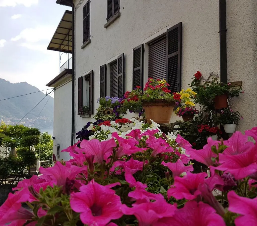 Appartement Flora à Moltrasio 0*,