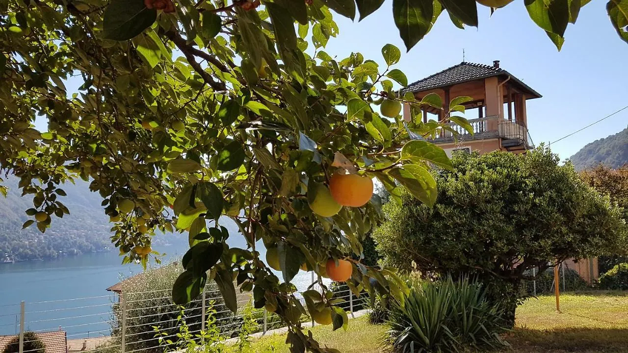 Appartement Flora à Moltrasio